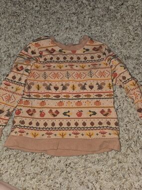 Little Sleepies Peach and Rust Autumn Motif Crewneck Sweater